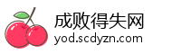 成败得失网